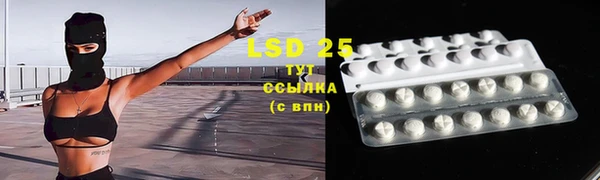 гашиш Богданович
