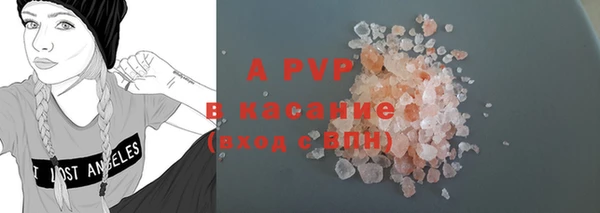 гашиш Богданович